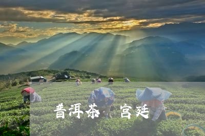 普洱茶 宫廷/2023042903142